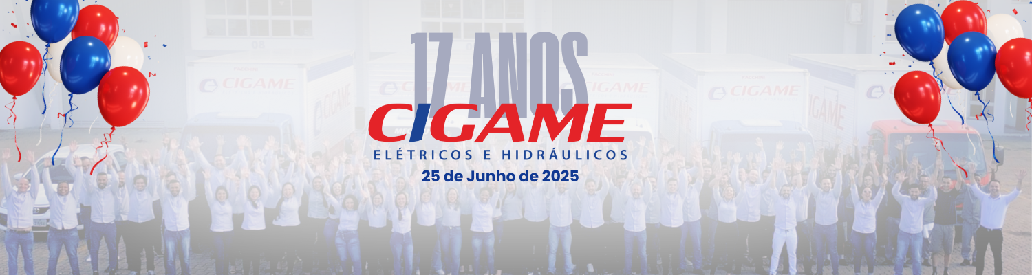 Imagem da Galeria